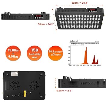 ルサルカデック　赤　12個 ルサルカデック 赤 12個 ルサルカデック 赤 Rusalka Playing